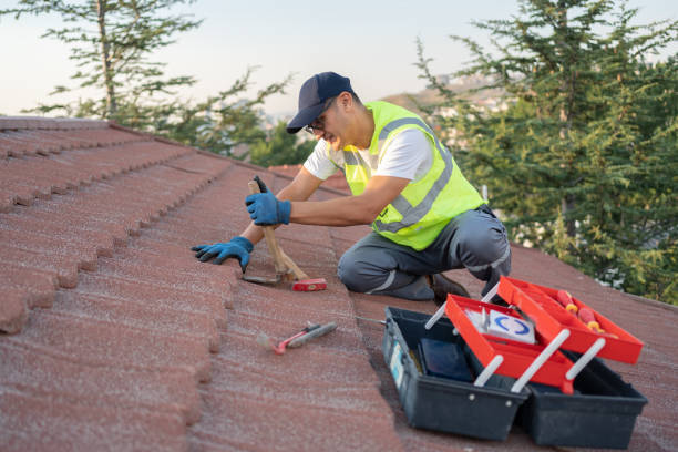Best Roof Repair Services  in Orange City, IA